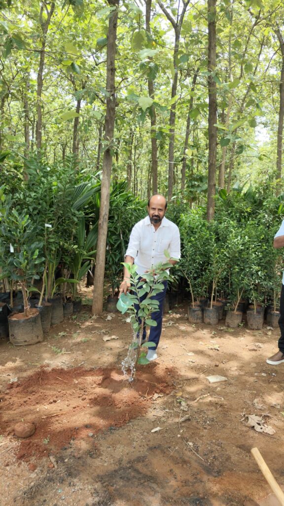 Plant a Tree, Save Our Planet