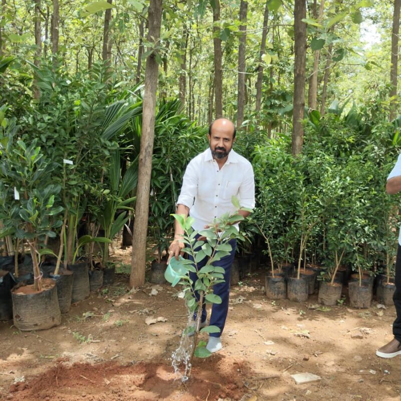 Founder Plants the First Tree of the Green Drive