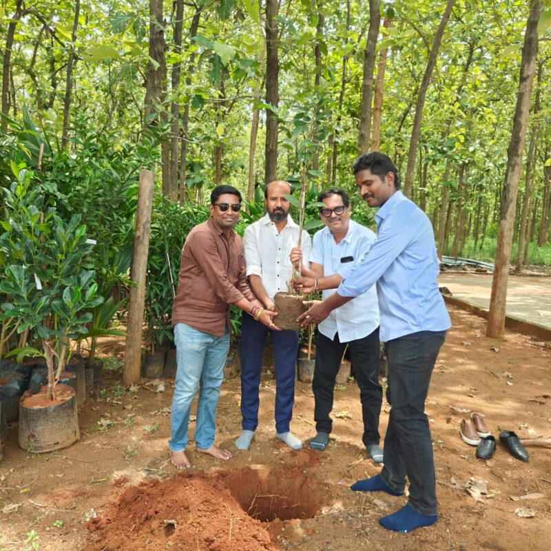 Founder Plants the First Tree of the Green Drive