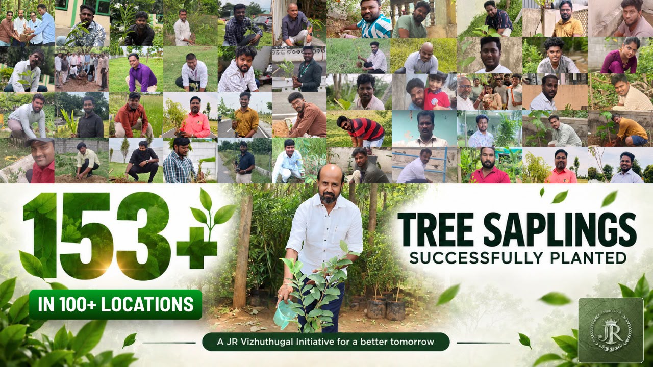 100 trees